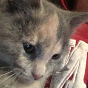 Meet your Posher, Diego